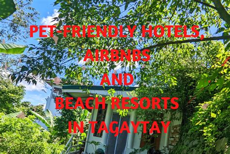 pet friendly hotels in tagaytay